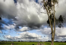 中国女足获东亚杯亚军，表现究竟如何？