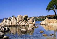 英冠赛事，南安普敦对阵普雷斯顿，最新战况和看点有哪些？